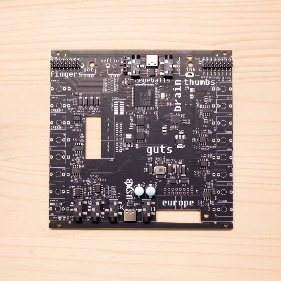 Plinky DIY Kit – Build Guide