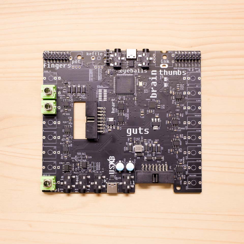 Plinky DIY Kit – Build Guide