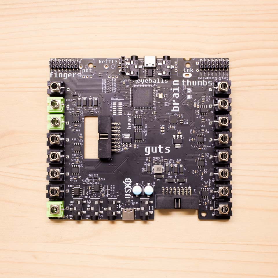 Plinky DIY Kit – Build Guide