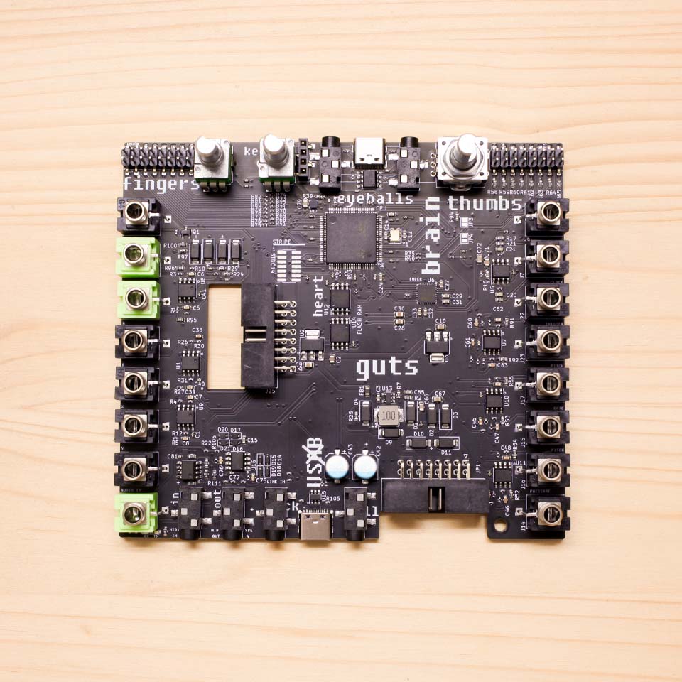 Plinky DIY Kit – Build Guide